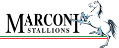 Logo of "Marconi Stallions"