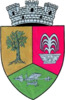 Coat of arms of Geoagiu