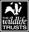Logo of The Wildlife Trusts