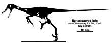 Byronosaurus jaffei headden.jpg