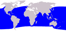 Kogia breviceps range.png