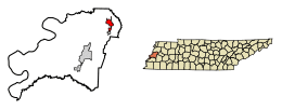 Location of Halls in Lauderdale County, Tennessee.