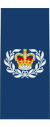 Canadian RCAF OR-8.svg