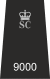 NorthWalesSC Epaulette.svg
