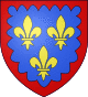 Blason duche fr Berry (moderne).svg