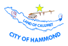 Flag of Hammond, Indiana
