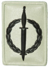 SANDF Qualification Special Forces Operator badge embossed.png