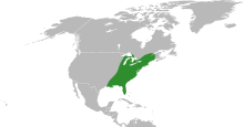 Peltandra distribution.svg