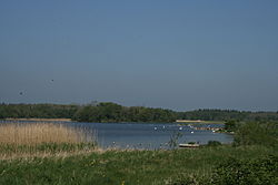 IMG LoughEnnell0861.jpg