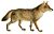Dogs, jackals, wolves, and foxes (Plate X).jpg
