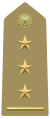 Rank insignia of primo capitano of the Army of Italy (1973).svg