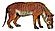 Hyaenodon horridus by R. B. Horsfall (coloured).jpg