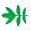 Pennatiséquée.svg