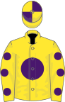 Yellow, purple disc, yellow sleeves, purple spots, quartered cap
