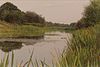 Langham Pond