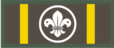 Bronze Wolf Award