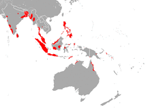 Naked-Rumped Pouched Bat area.png