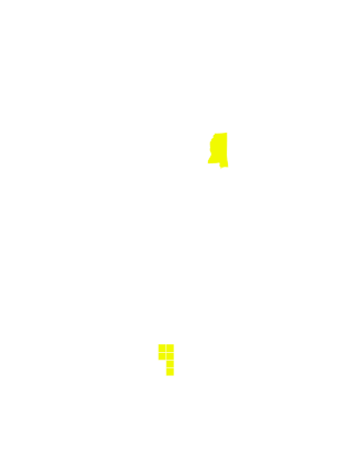 MS yellow.svg