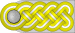 SS-Brigadeführer h.svg