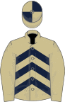 Beige, dark blue chevrons, beige sleeves, quartered cap