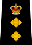 Edmonton Police - Deputy Chief.png