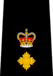 Edmonton Police - Superintendent.png