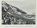 Adélie-penguin-Cape-Verde-1899-Carsten-Borchgrevink-groups.jpg