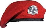 U.S. Air Force Combat Controller red beret.jpg