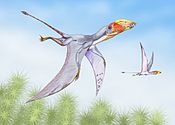 Dimorphodon2DB.jpg