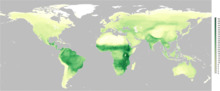 Diversity map of Accipitriformes.webp