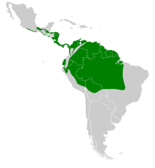 Heliomaster longirostris map.svg