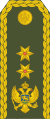 17-Montenegro Army-MG.svg