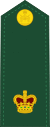 Canadian Army OF-3.svg