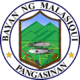 Official seal of Malasiqui