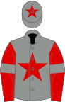 Grey, red star on body and cap, red sleeves, grey armlets
