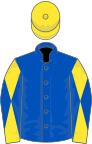 Royal blue, yellow and royal blue diabolo on sleeves, yellow cap