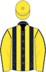 Dark Blue and Yellow stripes, Yellow sleeves, Dark Blue seams, Yellow cap