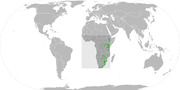 African Goshawk Range.png