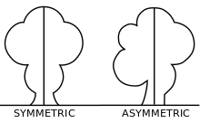 Asymmetric (PSF).svg