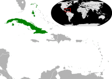 Chlorostilbon ricordii map.svg