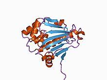 PDB 1ah6 EBI.jpg