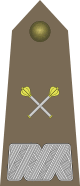 Army-POL-OF-10.svg