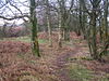 Footpath by Duddon Mosses - geograph.org.uk - 1097683.jpg