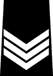 Edmonton Police - Sergeant.png