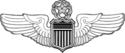 COMMAND PILOT WINGS.png