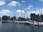 Marina of Balatonföldvár.jpg