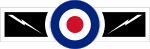 RAF 60 Sqn.svg
