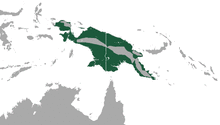 Lesser Naked-backed Fruit Bat area.png