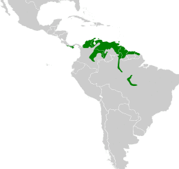 Eupsittula pertinax map.svg