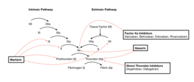 Coagulation Cascade and Major Classes of Anticoagulants.png